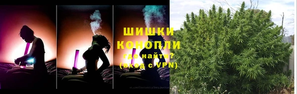 стаф Балахна