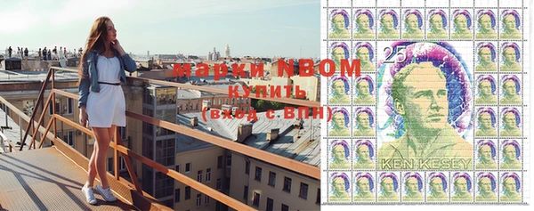 ПСИЛОЦИБИНОВЫЕ ГРИБЫ Баксан