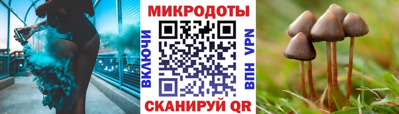 Псилоцибиновые грибы Psilocybine cubensis  Чекалин 