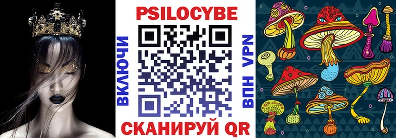 Псилоцибиновые грибы мицелий Чекалин