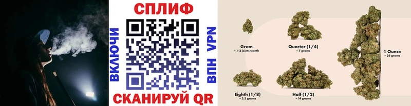 ссылка на мегу ССЫЛКА  магазин продажи наркотиков  Чекалин  Марихуана SATIVA & INDICA 